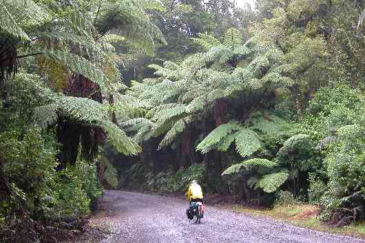206vers Turangi.JPG (reduit)